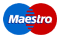 maestro card logo
